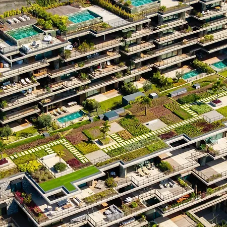 Savoy Monumentalis I By Madeira Dream *