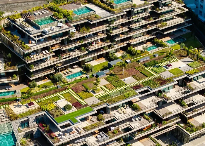 Savoy Monumentalis I By Madeira Dream *