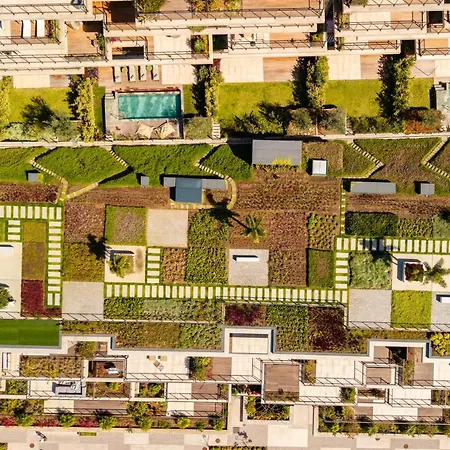 Savoy Monumentalis I By Madeira Dream